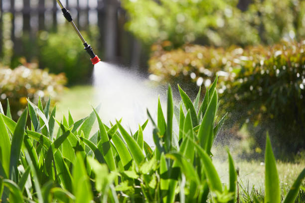 24/7 Emergency Cockroach Control experts in Granite City, IL